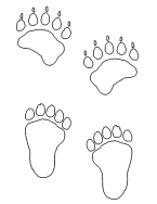 Makwa paw prints